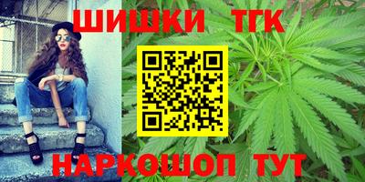 тгк Гатчина