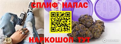 кокс Гай