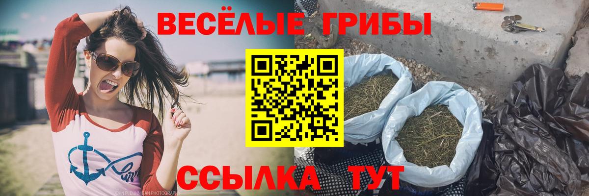 Егорьевск  Галлюциногенные грибы мухоморы  Галлюциногенные грибы ЛСД  Вход с VPN 